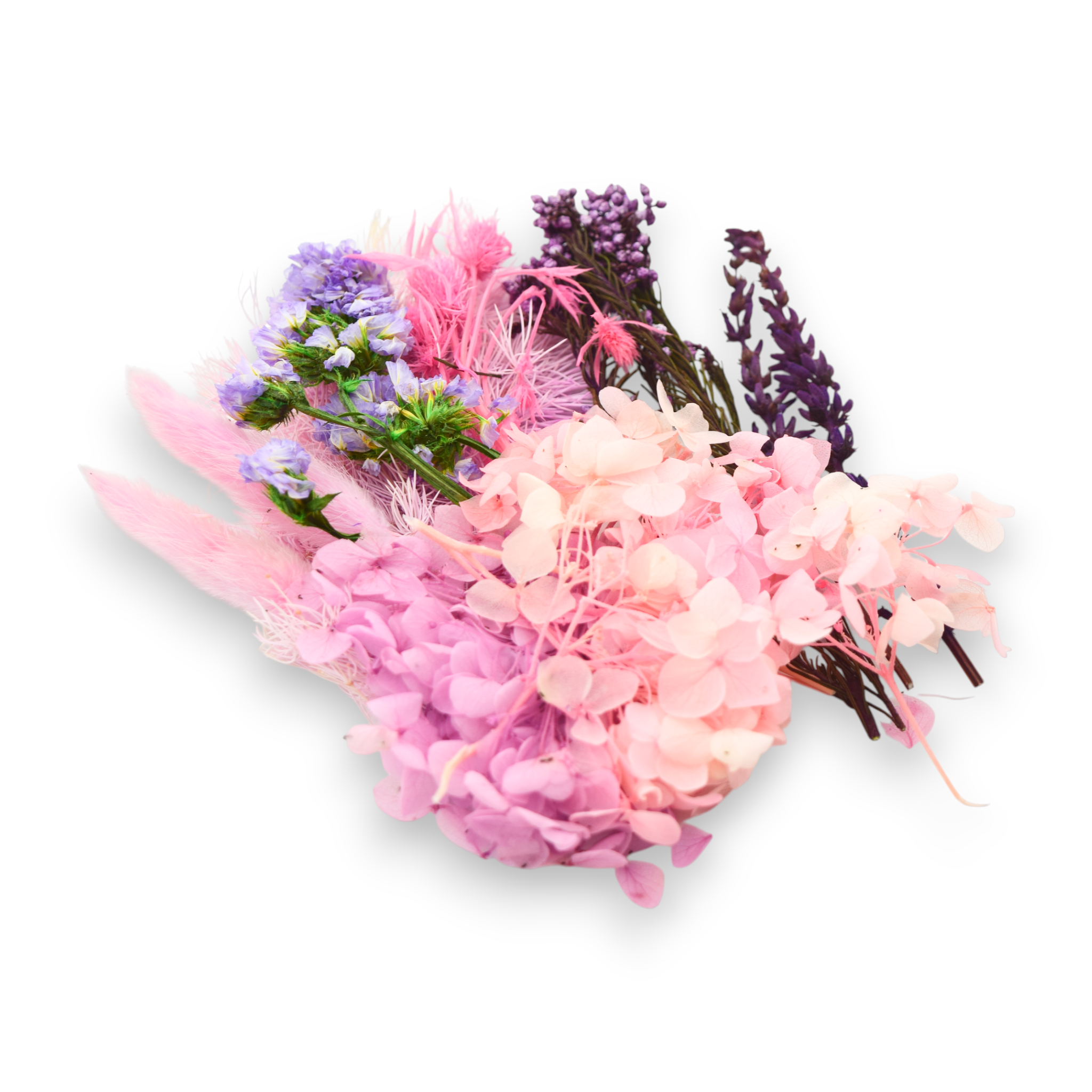 Dried Flowers - Purple